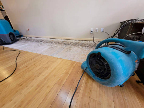 Professional Emergency Water Damage technician working in Hadley, PA